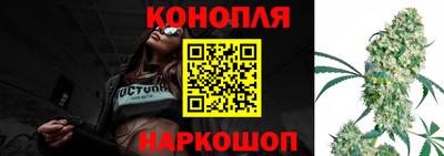 гидропоника Заводоуковск