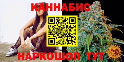 гидропоника Заводоуковск
